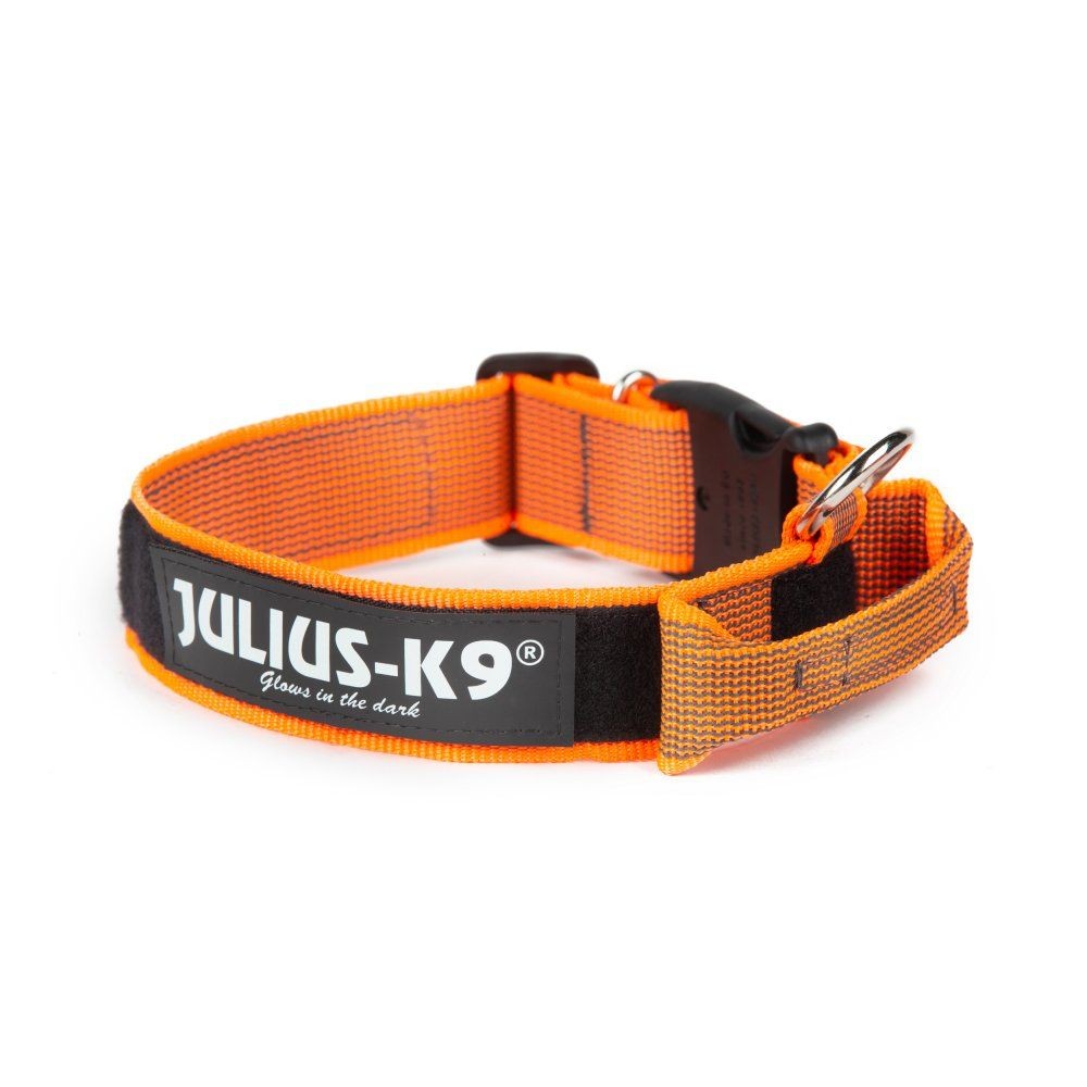 Collar Julius K9 ColorGray handle 40 mm Orange