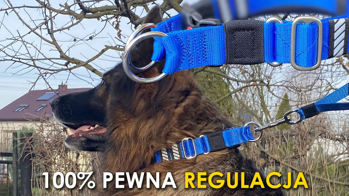 Collar for Big Dog 40-60 cm Tape 30x2,5 mm Buckle with Lock - HIFICA Manufacturer code CL B