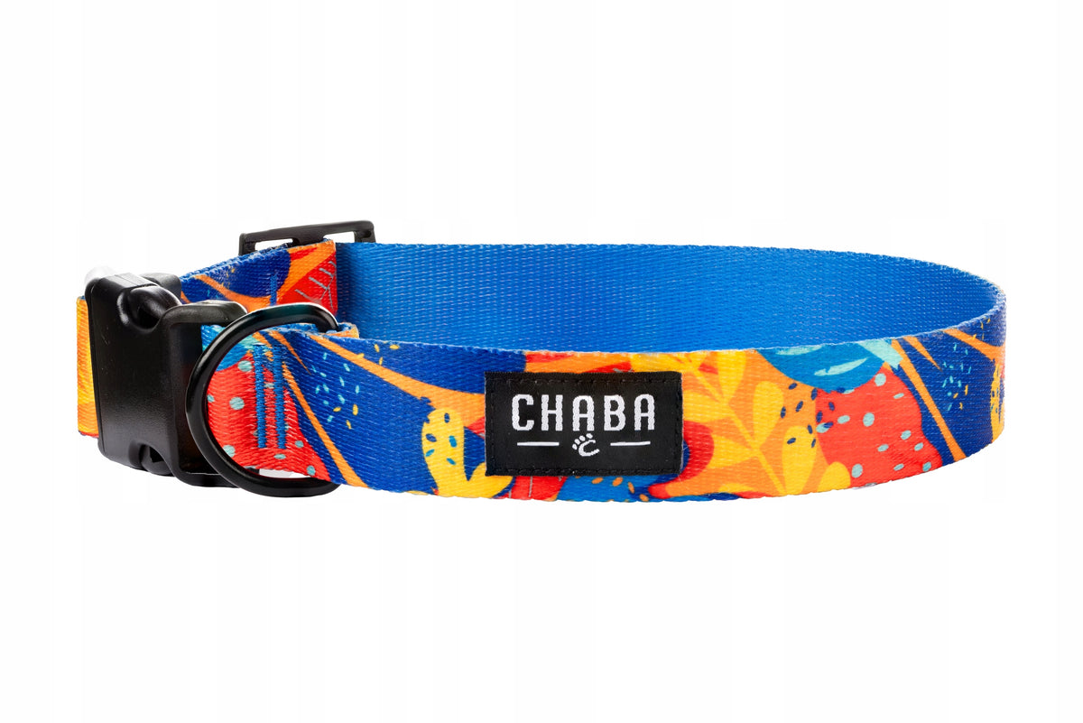 Collar for Small Dog Chaba Strong Durable Adjustable 25-42CM/2CM AUSSIE