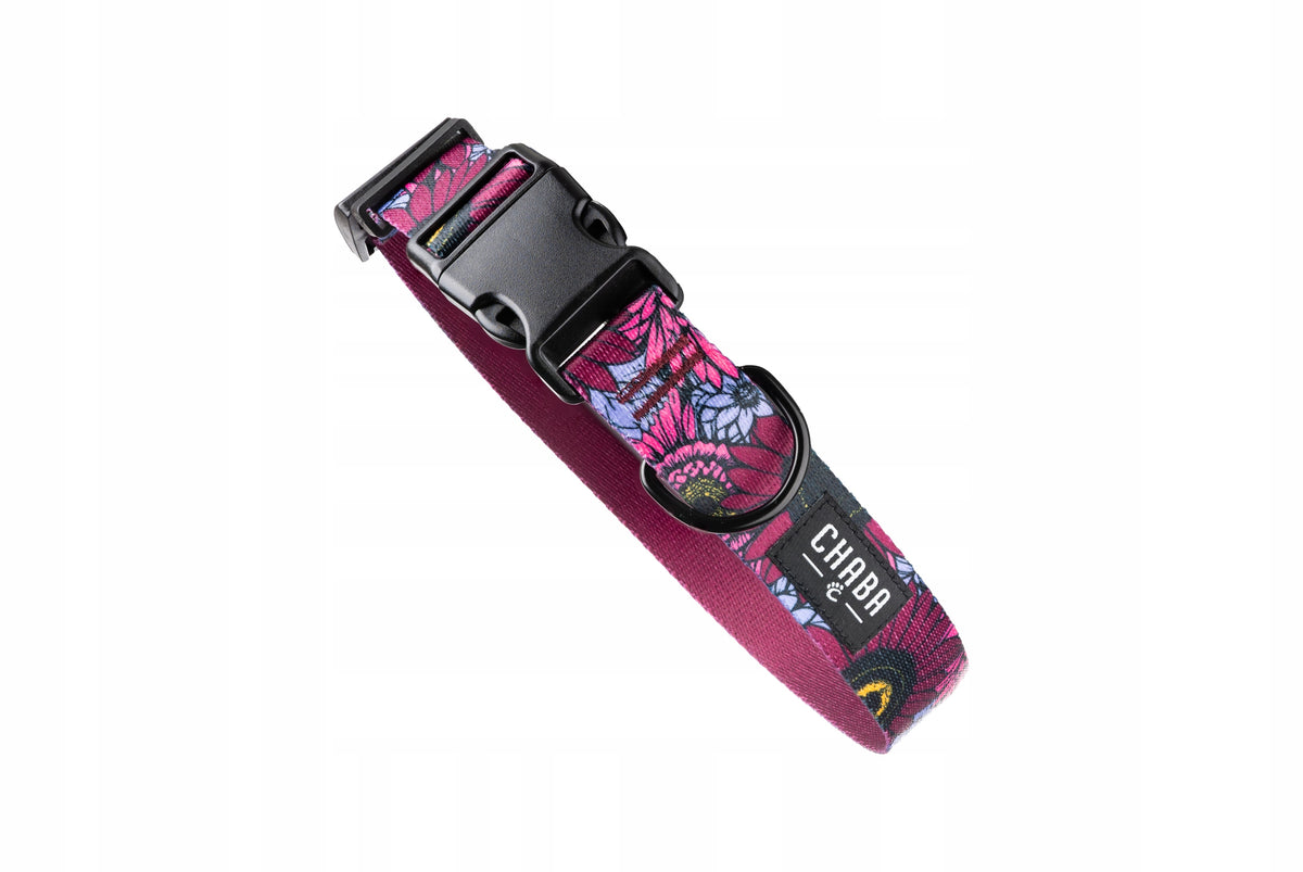 Collar for Small Dog Chaba Strong Durable Adjustable 25-42CM/2CM LAKOTA Packaging status original