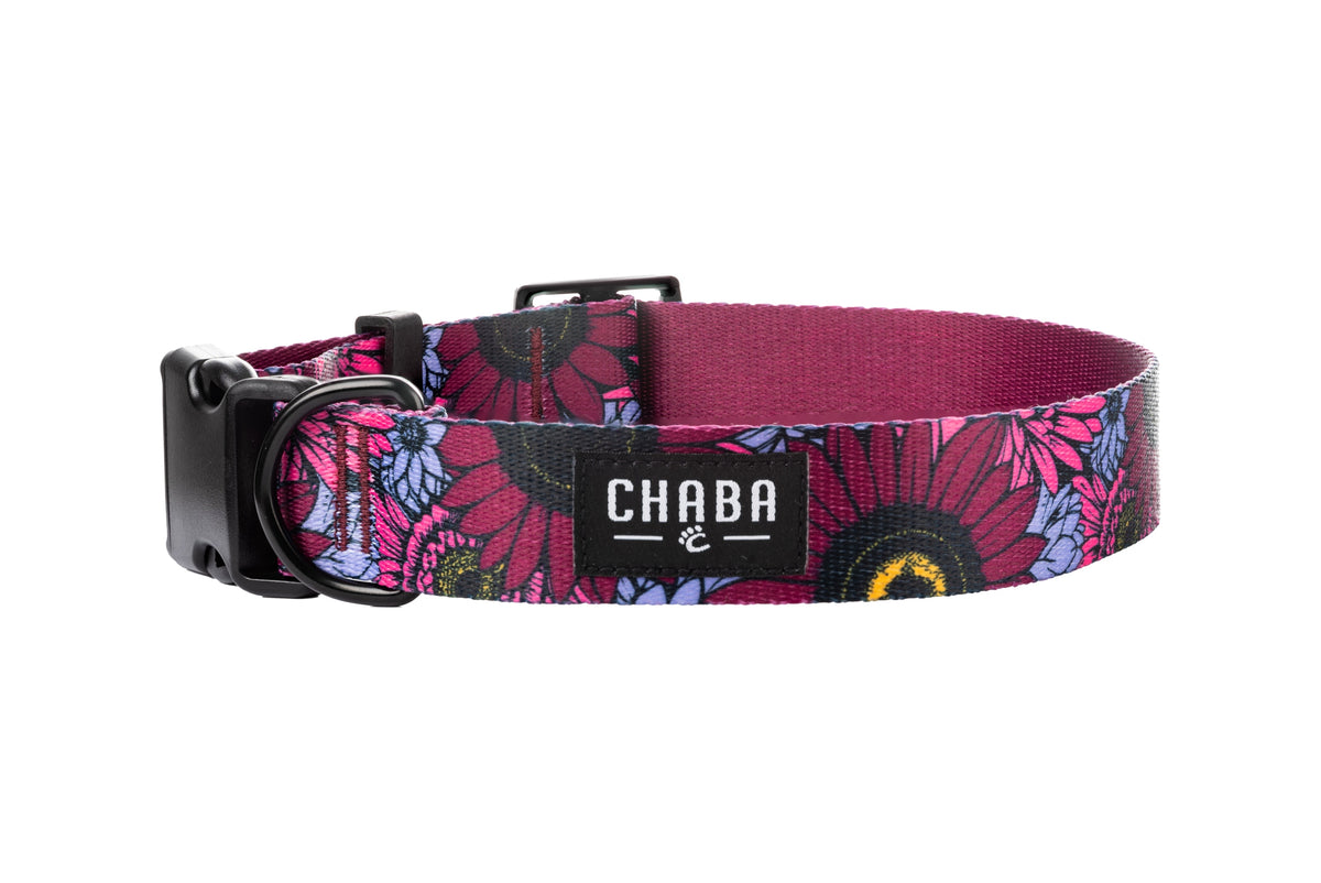 Collar for Small Dog Chaba Strong Durable Adjustable 25-42CM/2CM LAKOTA