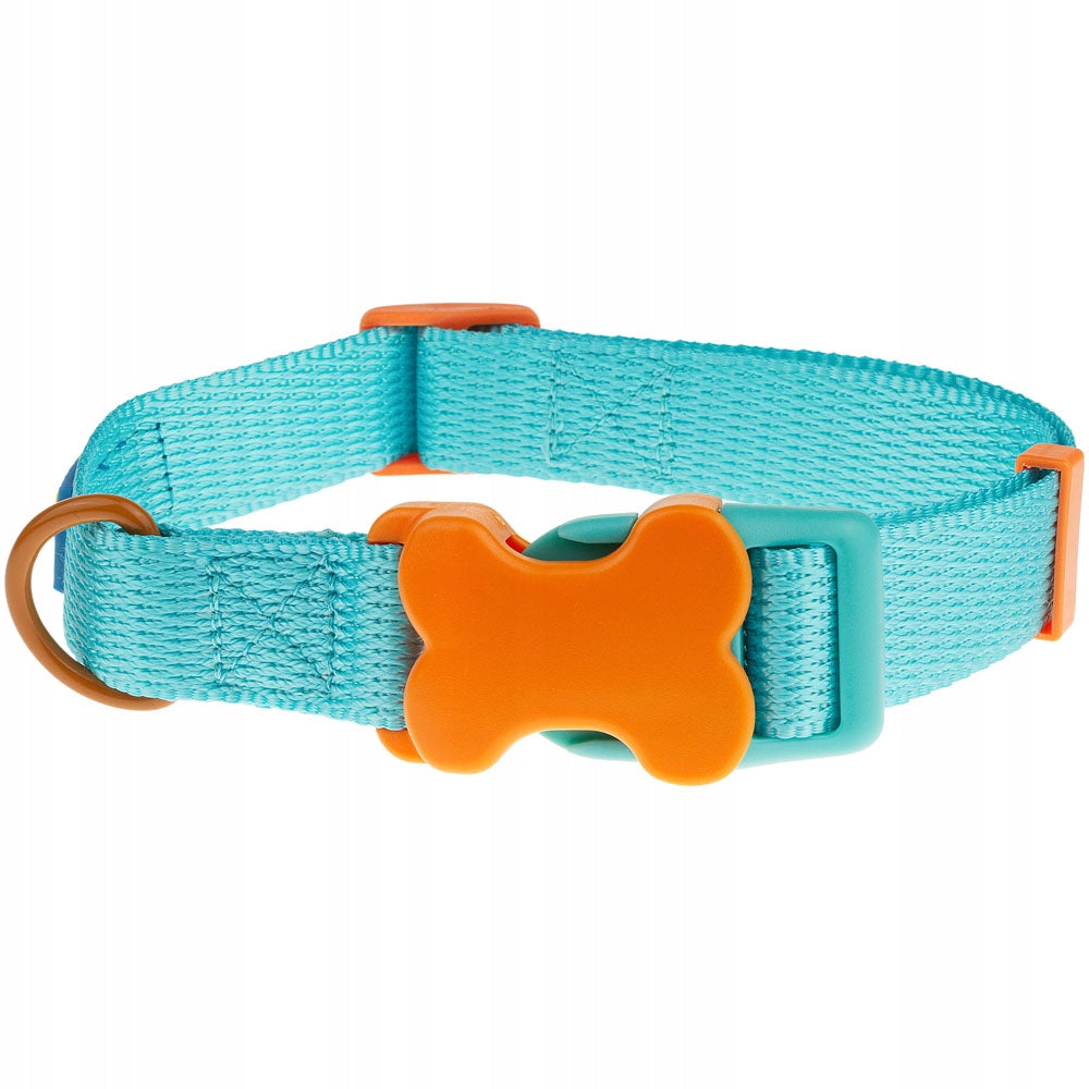 Collar for big dog webbing buckle ankle L