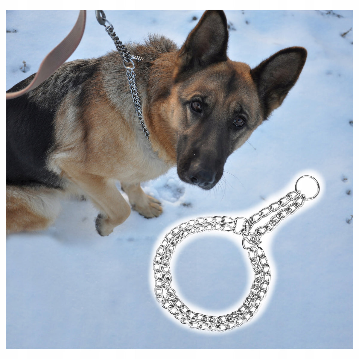 Collar for medium dog chain SEMI-CLAMP 2,0cm x 36-42cm L Packaging status original