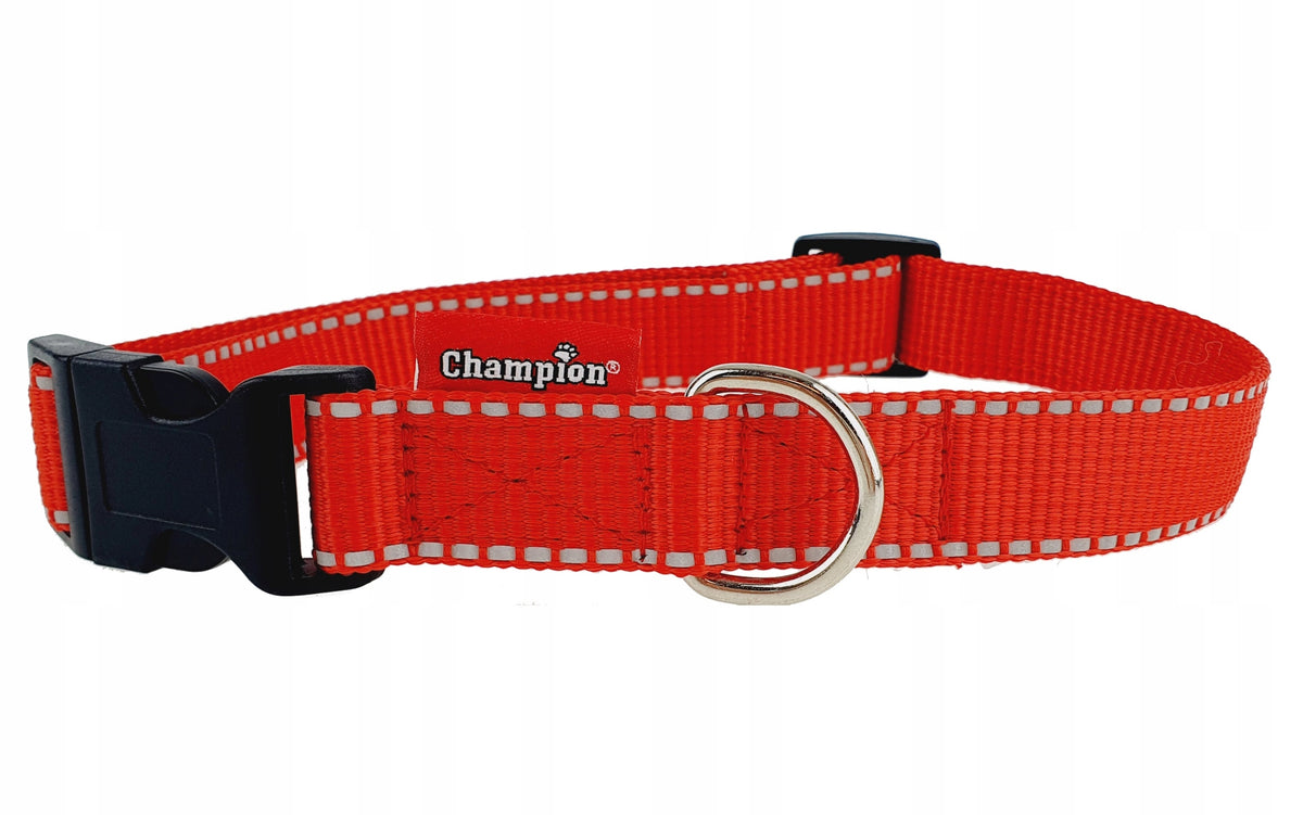 Collar tape latch Champion 60/2,5 cm Reflector Packaging status original