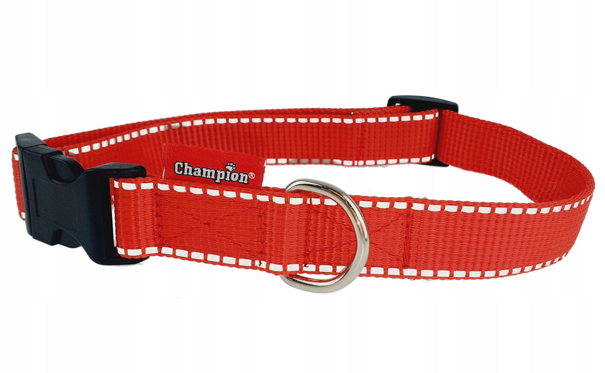 Collar tape latch Champion 60/2,5 cm Reflector