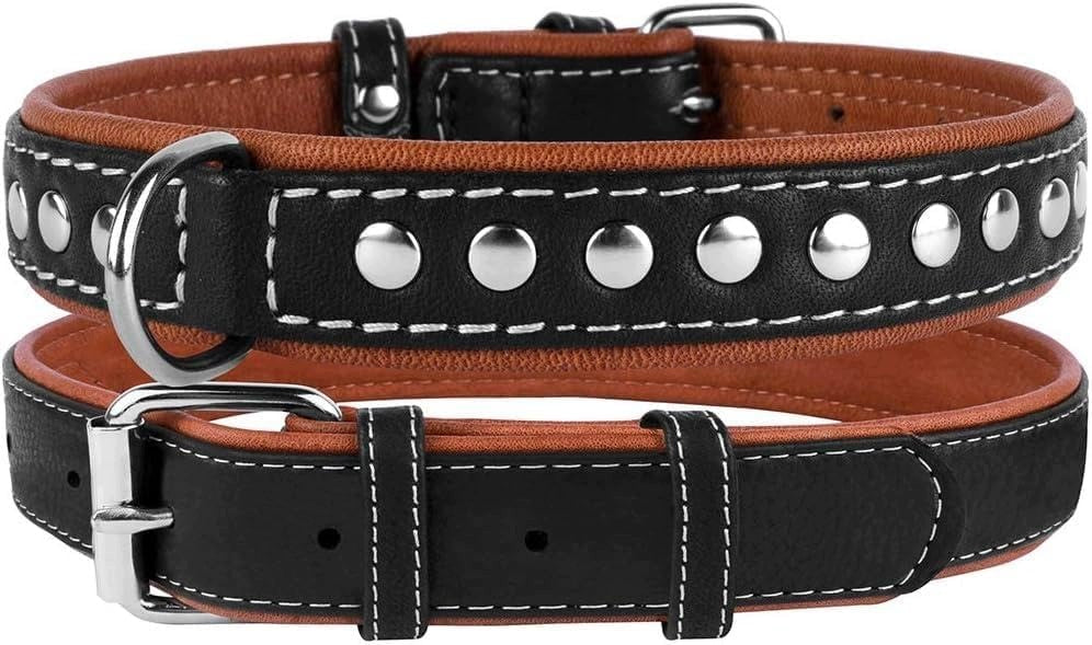CollarDirect Collar for Dog Leather with Studs size S 33-36 cm Black