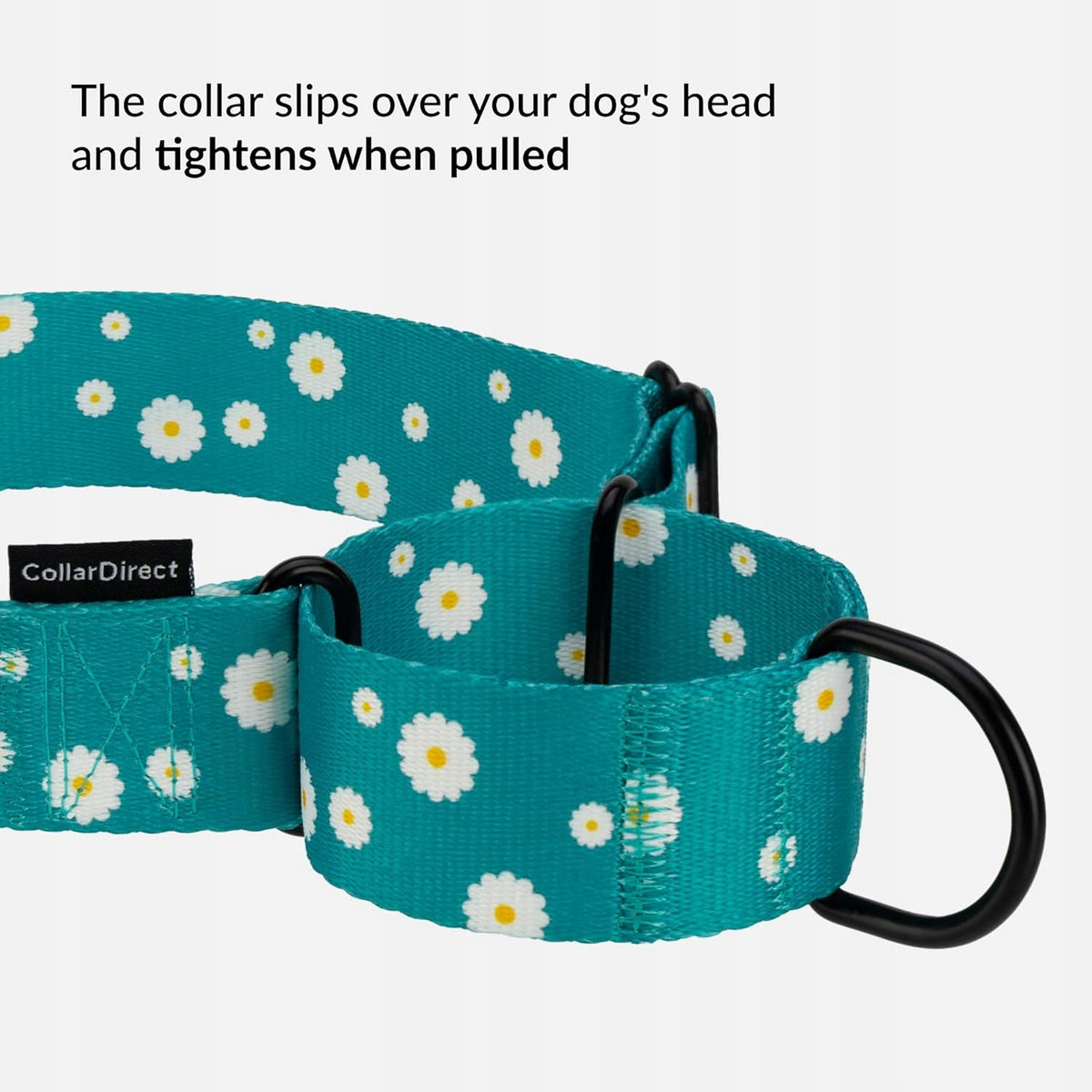 CollarDirect Martingale Durable Nylon Wide 30-43cm Dog Collars