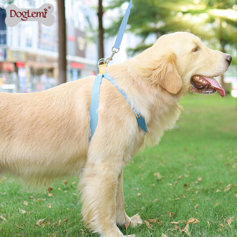Color adjustable harness for Dog DOGLEMI - S EAN (GTIN) 6932205228849