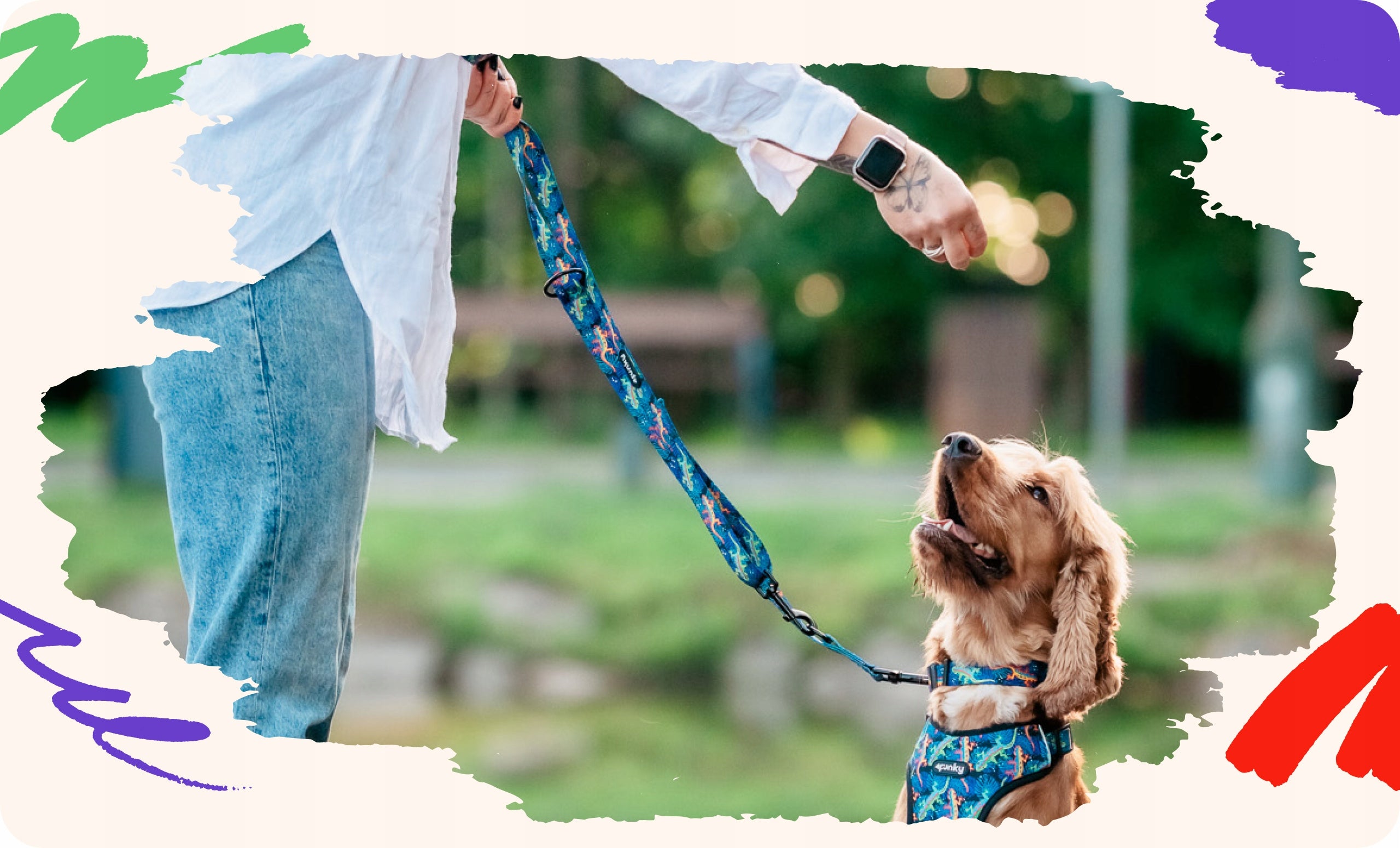 Colorful adjustable leash for dog 4 Funky Wild Gecko 1,6 cm / 300 cm – S/M Material tape