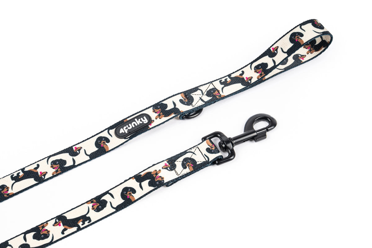 Colorful dog leash | 4Funky | Doxie pattern Dachshunds 2,5 cm / 1,5 m – L/XL