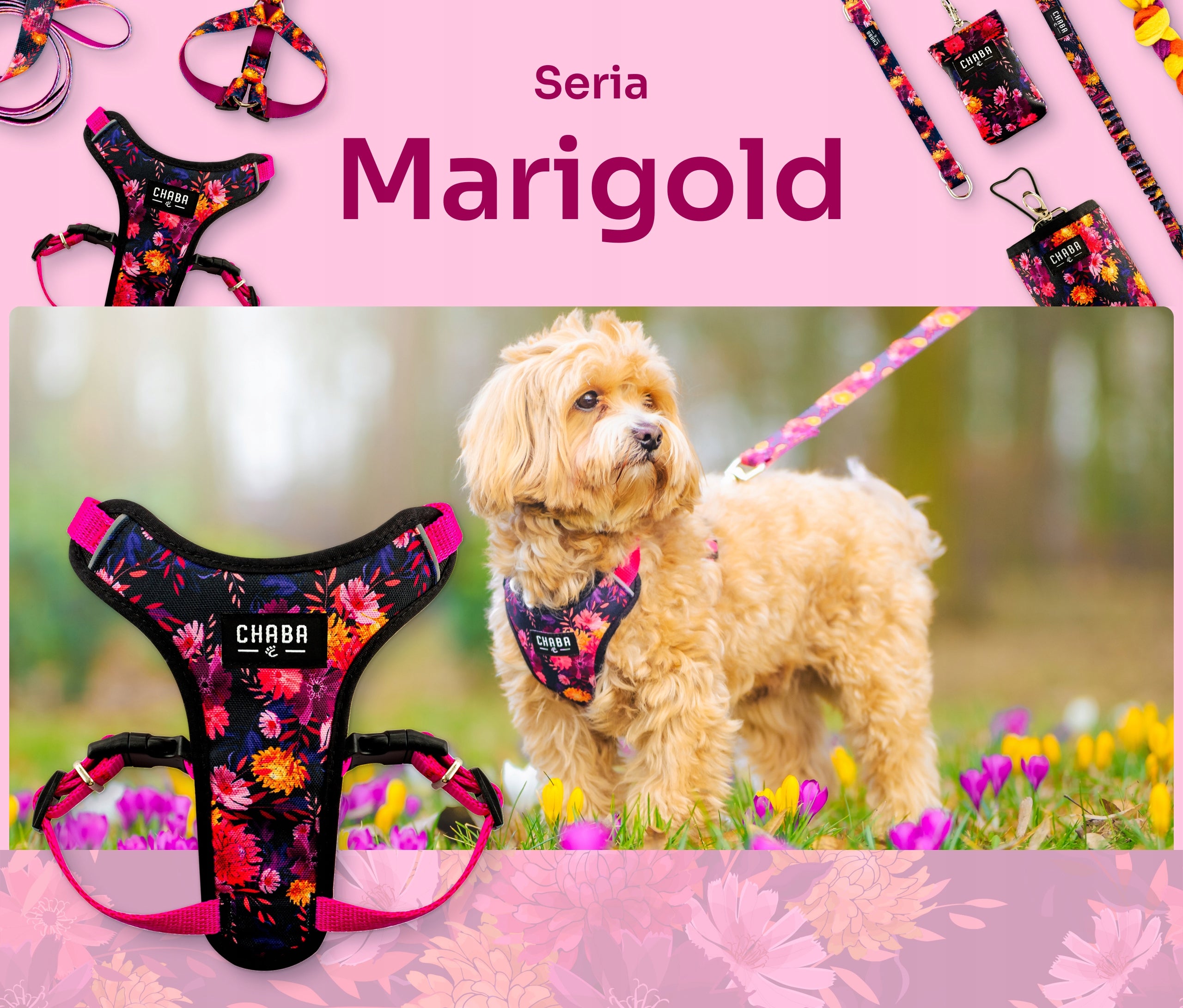 Comfort Guard Walking Harness for Small Dog - Chaba Marigold Size M Packaging status original