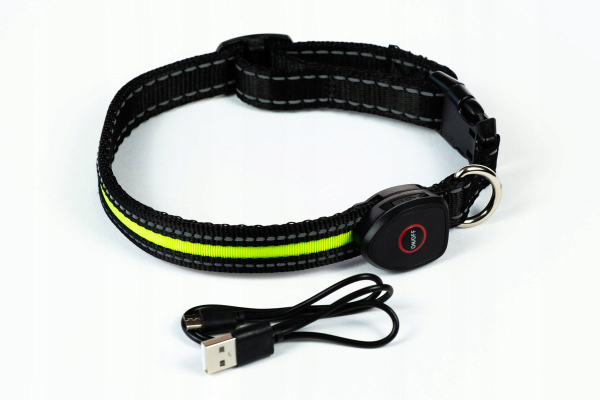 Comfort LED Lighting Collar Green M