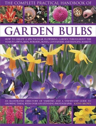 Vollständiges praktisches Handbuch für Gartenzwiebeln: Wie Sie das ganze Jahr über einen spektakulär blühenden Garten mit Rasen, Beeten, Rabatten, Kästen, Behältern und Hängekörben schaffen 