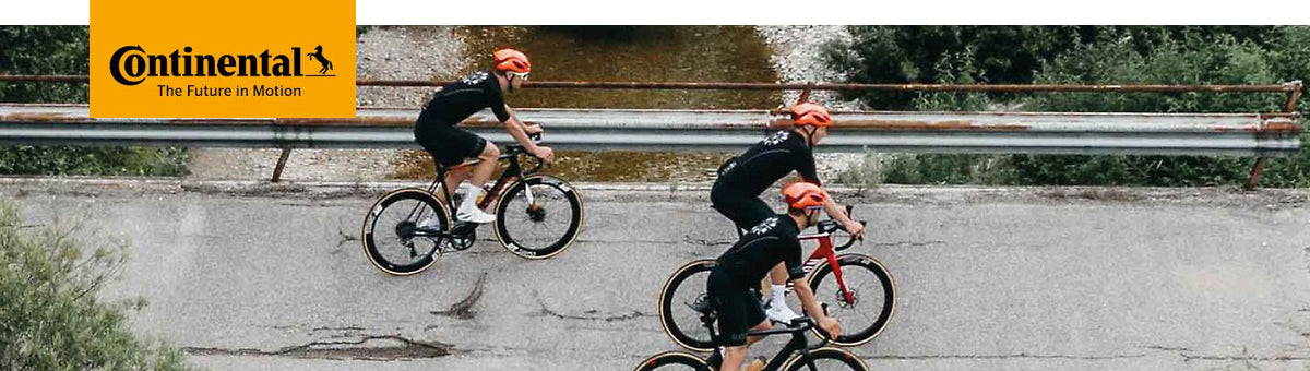 Continental Race King 29x2.20 PureGrip MTB E-Bike Ready tire Packaging status original