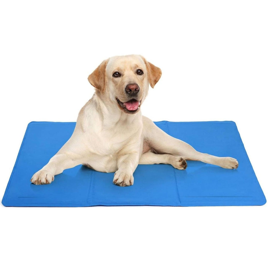 Cooling Mat for Cat Dog 65x50 cm by PETIC For Heat Blue Manufacturer code X001Q9KEWL