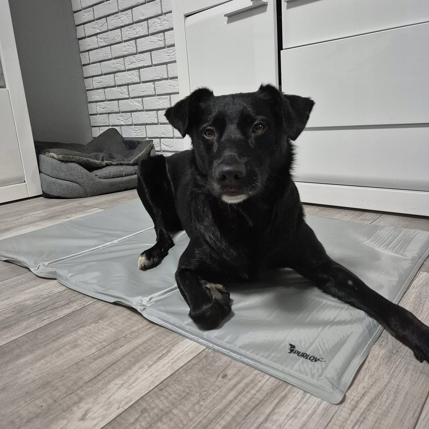 Cooling Mat for Dog Cat Animal Gel Folding XXL Bed 110x70cm Brand Purlov