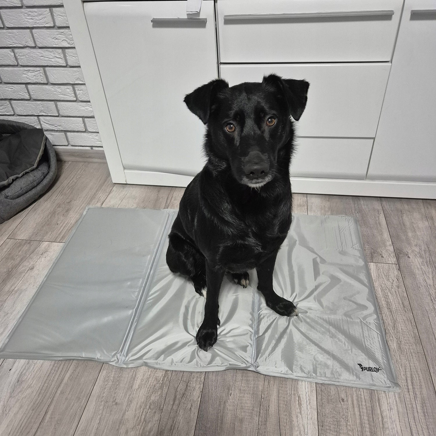 Cooling Mat for Dog Cat Animal Gel Folding XXL Bed 110x70cm Product width 70 cm