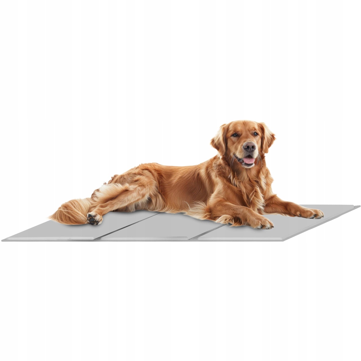 Cooling Mat for Dog Cat Animal Gel Folding XXL Bed 110x70cm Trade name Mata Chłodząca dla Psa