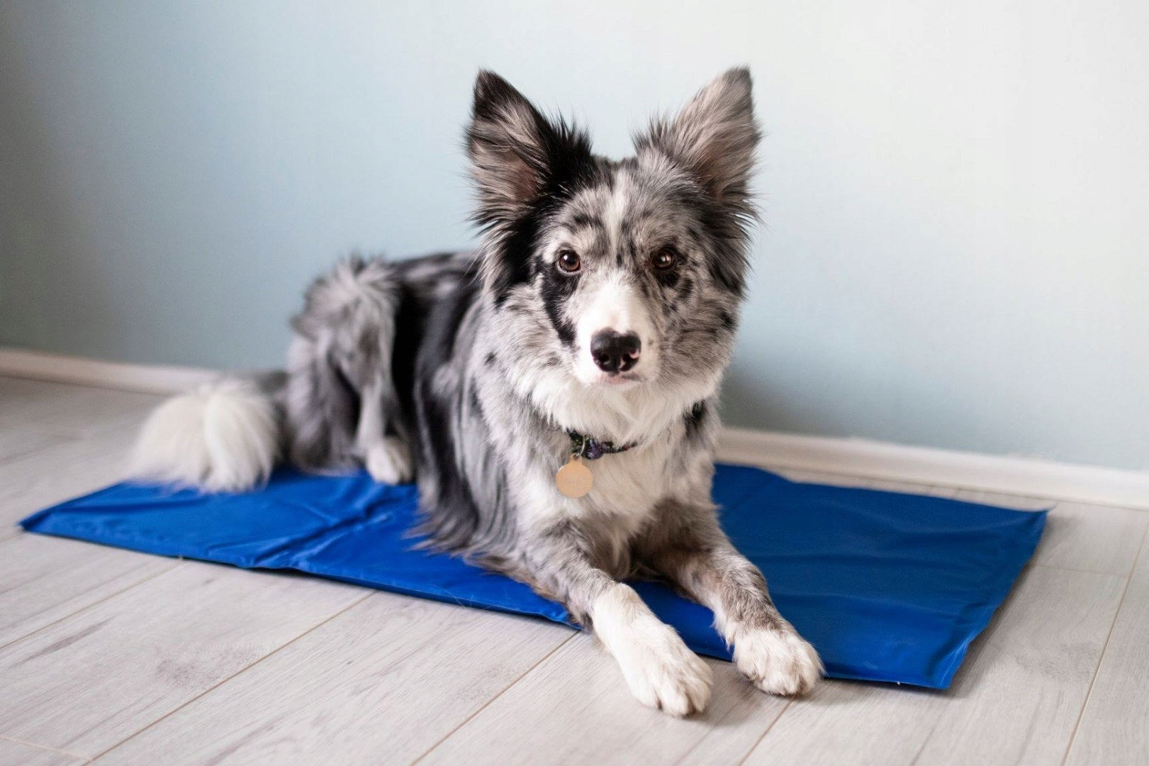 Cooling mat 90x50 cm blue for SUMMER DAYS Brand Pet Supplies