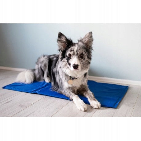 Cooling mat 90x50 cm blue for SUMMER DAYS Shape rectangular