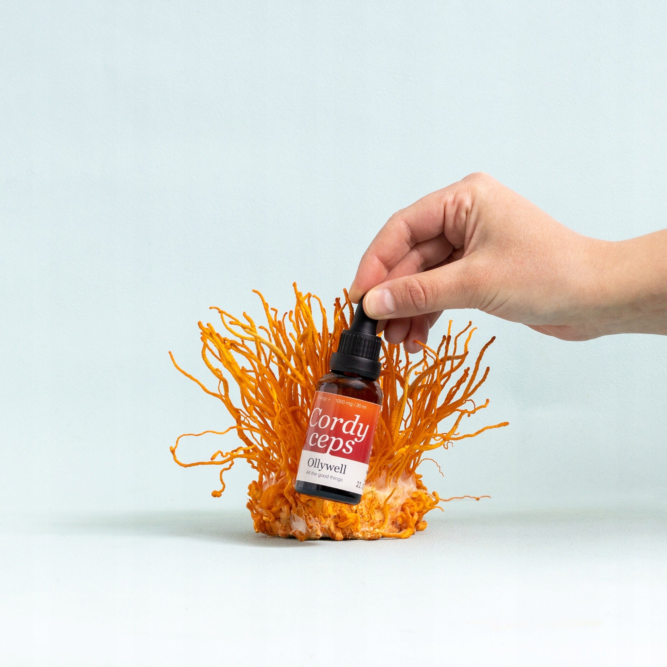 Cordyceps BIO, full-spectrum extract, drops, energy, efficiency, 30 ml Expiration date at least 1 year from the date of purchase