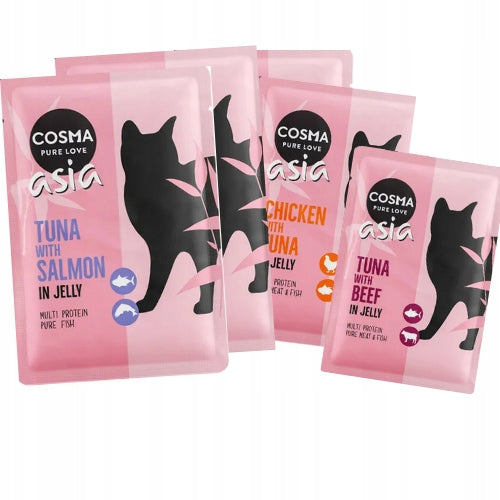 Cosma Asia MIX OF FLAVORS 6x 100g from Germany
