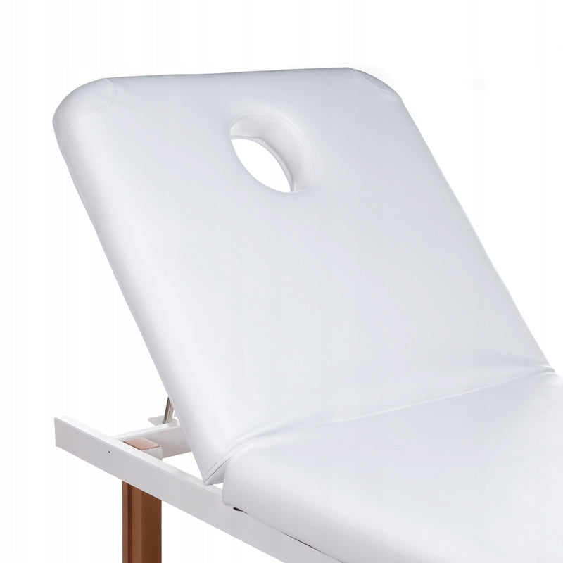 Cosmetic Couch Bed Massage Table BD-8240B Brand Beauty System