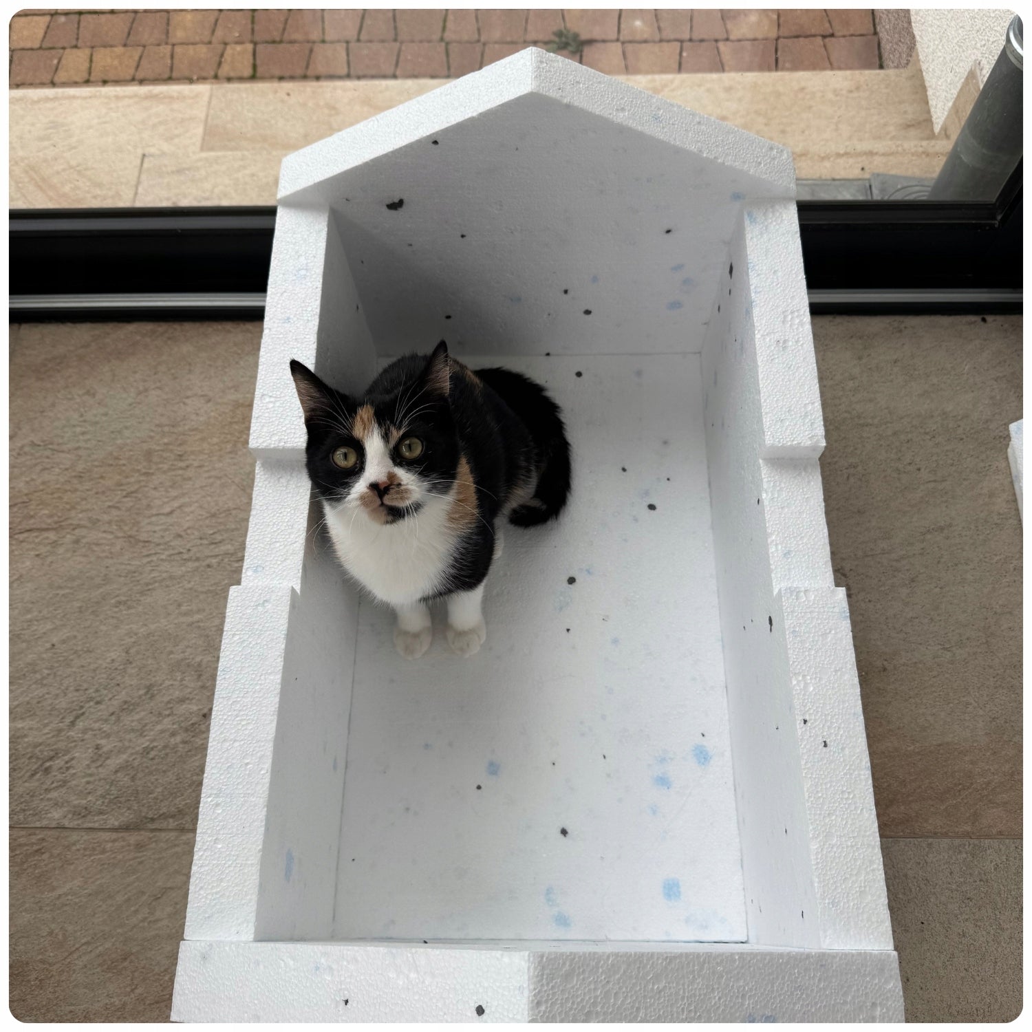 Cottage cat booth made of polystyrene WARM box 59x39x35 cm with sloping roof Trade name Budka na zewnątrz dla kota