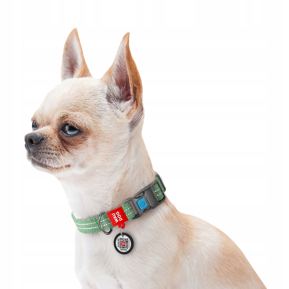 Cotton Dog Collar Green Size S Packaging status original