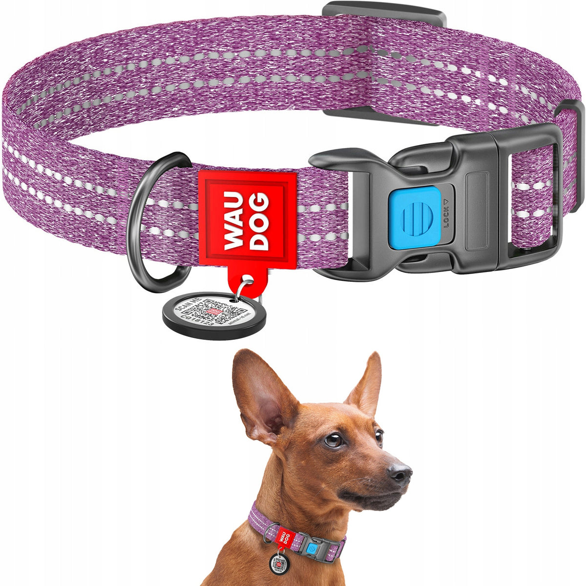 Cotton Dog Collar Purple Size M