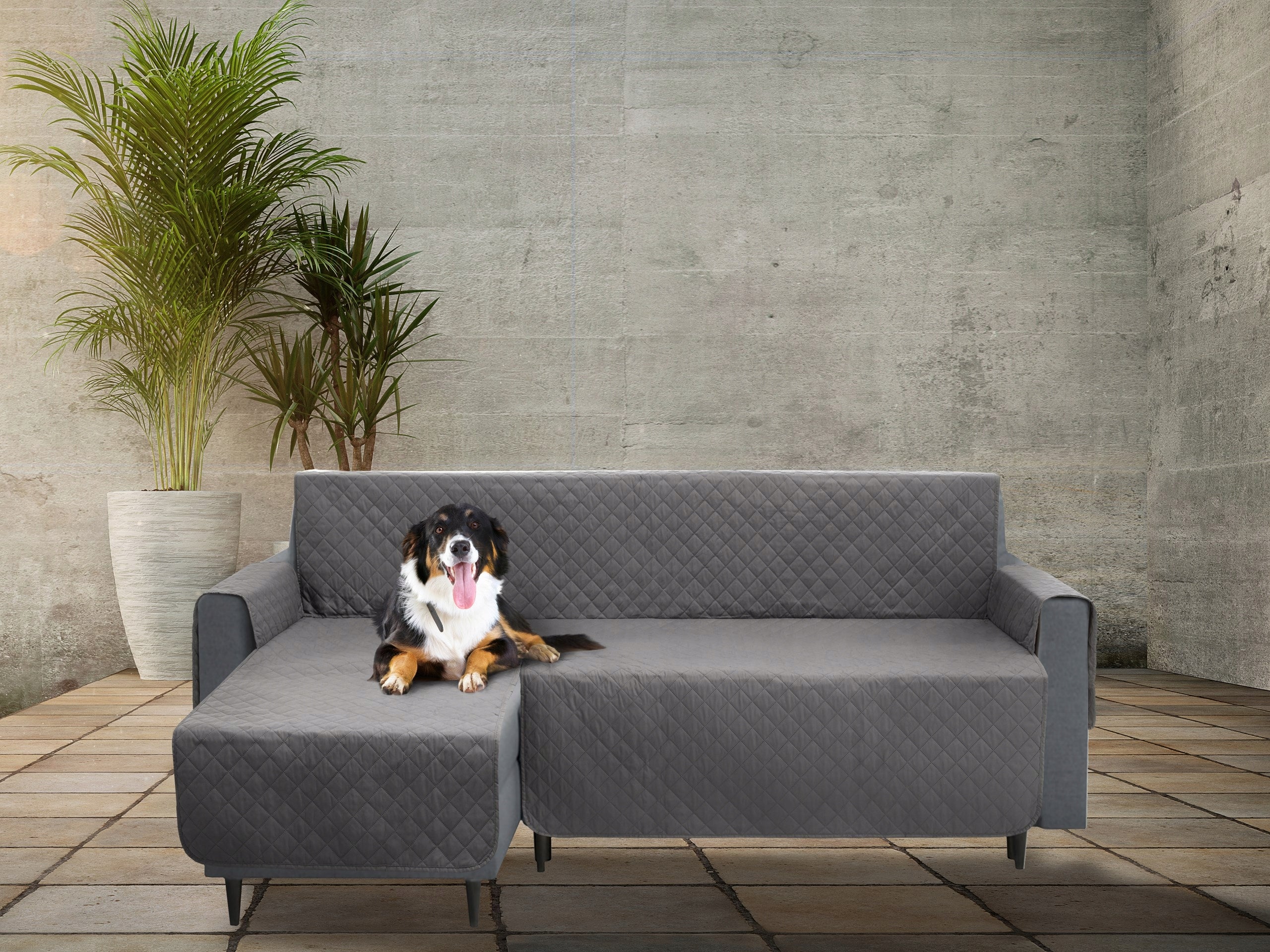 Cover Bedspread Sofa blanket corner left 240 cm for Dog and Cat Packaging status original
