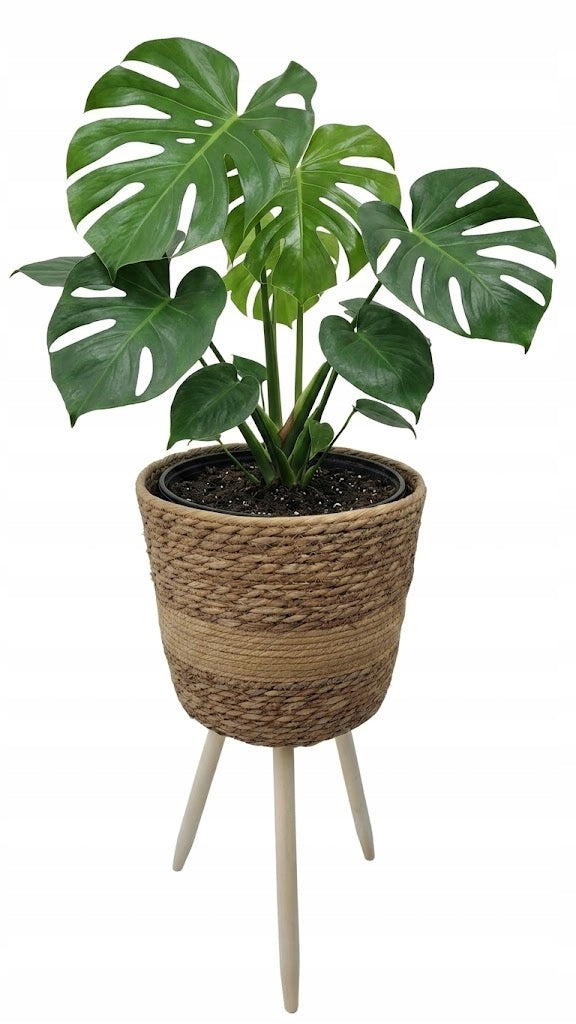 Cover Loft Seagrass 30cm Wooden Unscrewable Feet Standing Flowerbed Material wood