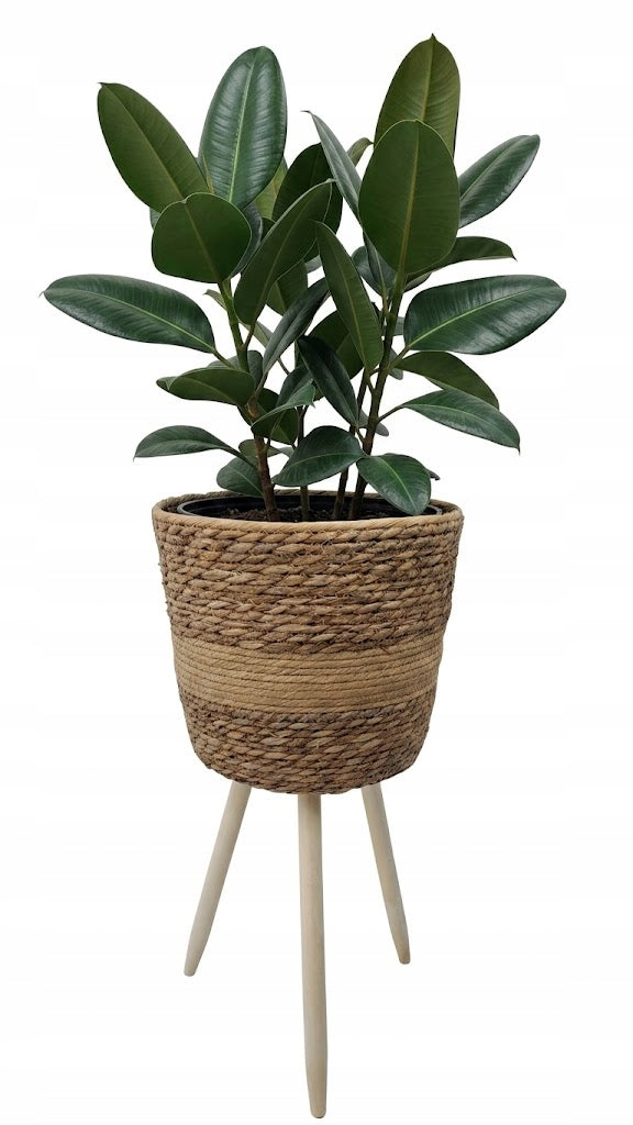 Cover Loft Seagrass 30cm Wooden Unscrewable Feet Standing Flowerbed Shape round
