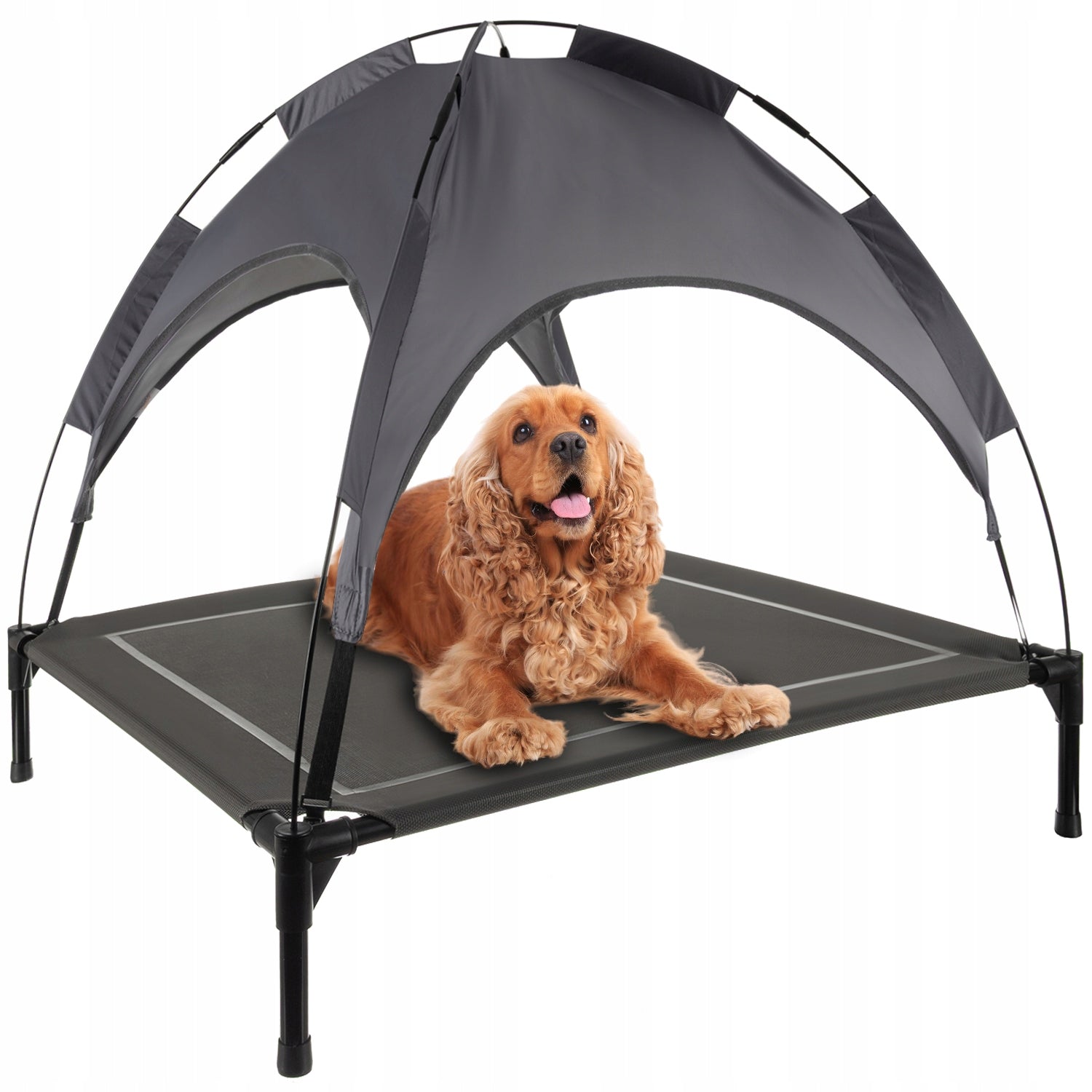 Covered Dog Bed Elevated with Canopy Tourist Mat XXL