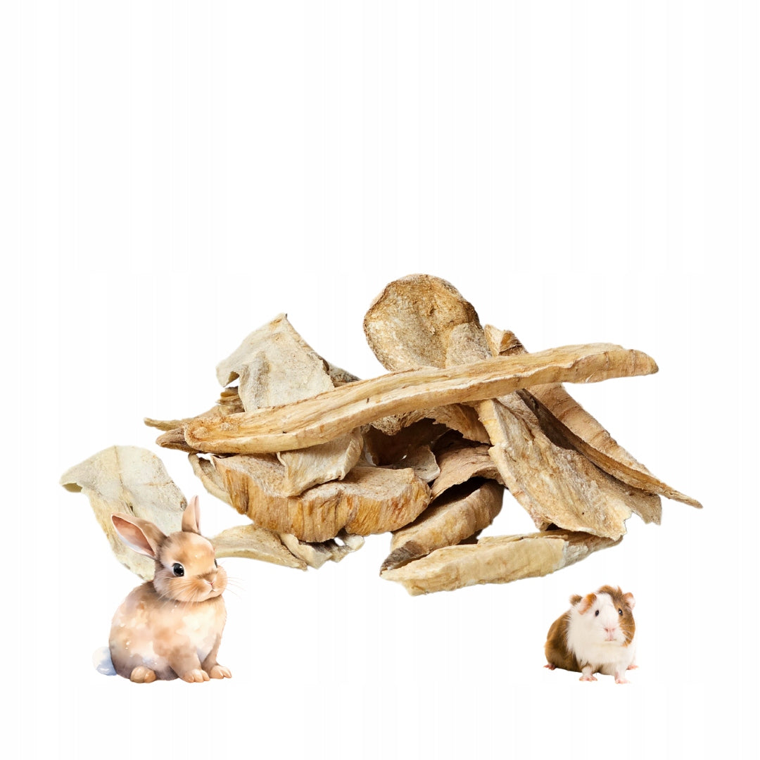 Crispy parsnips for rabbit / Natural snack - Low-calorie Packaging status original