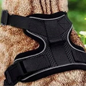 Croc-Cat Harness XS Black + Leash Packaging status original