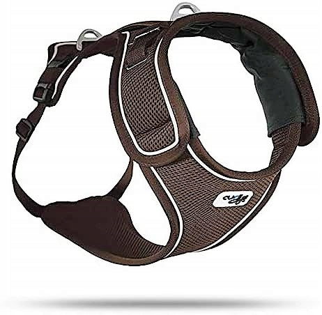 Curli Brown XL Dog Harness Beam