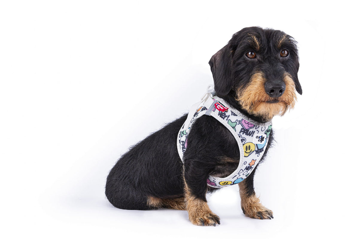 Curli Clasp Air Mesh Comic Light Gray XL Dog Harness Brand Curli