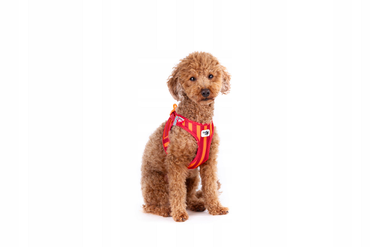 Curli Clasp Air Mesh Stripes Red 3XS Harness Manufacturer code 7640455195291