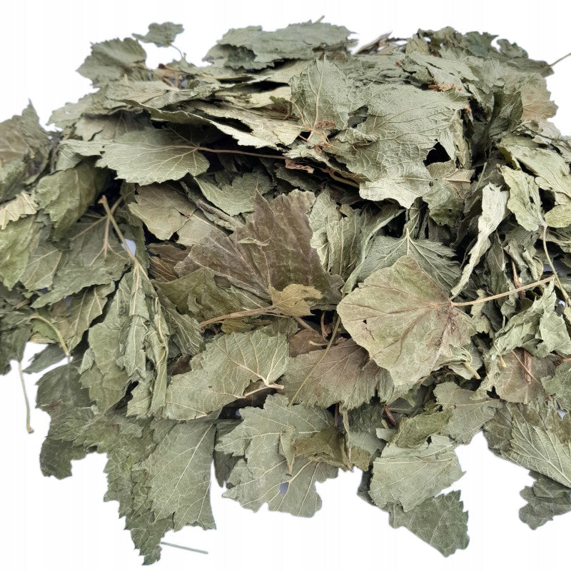 Currant leaf - 500g
