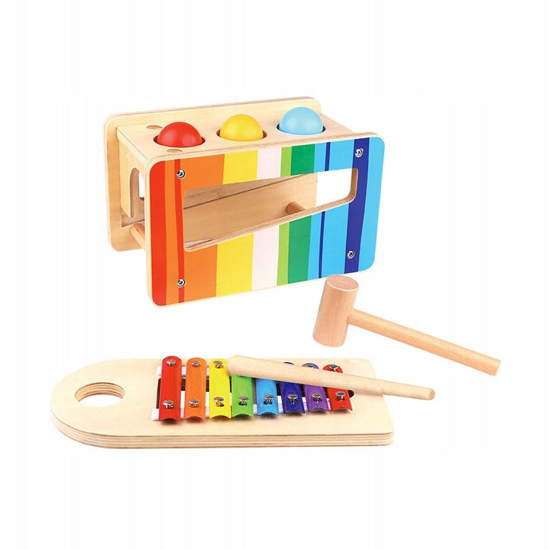 Medinių muzikinių instrumentų rinkinys 2in1 Tooky Toy 12 mėn.+