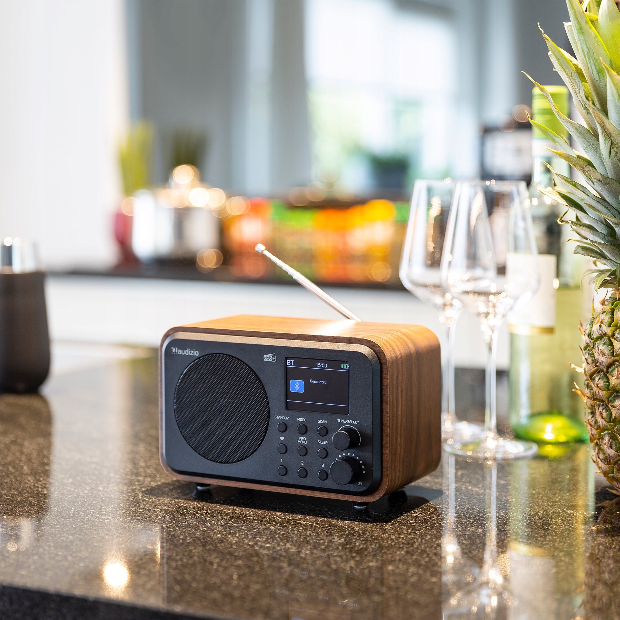 DAB+ Digital Radio with FM BLUETOOTH USB Battery Manufacturer code 102.214