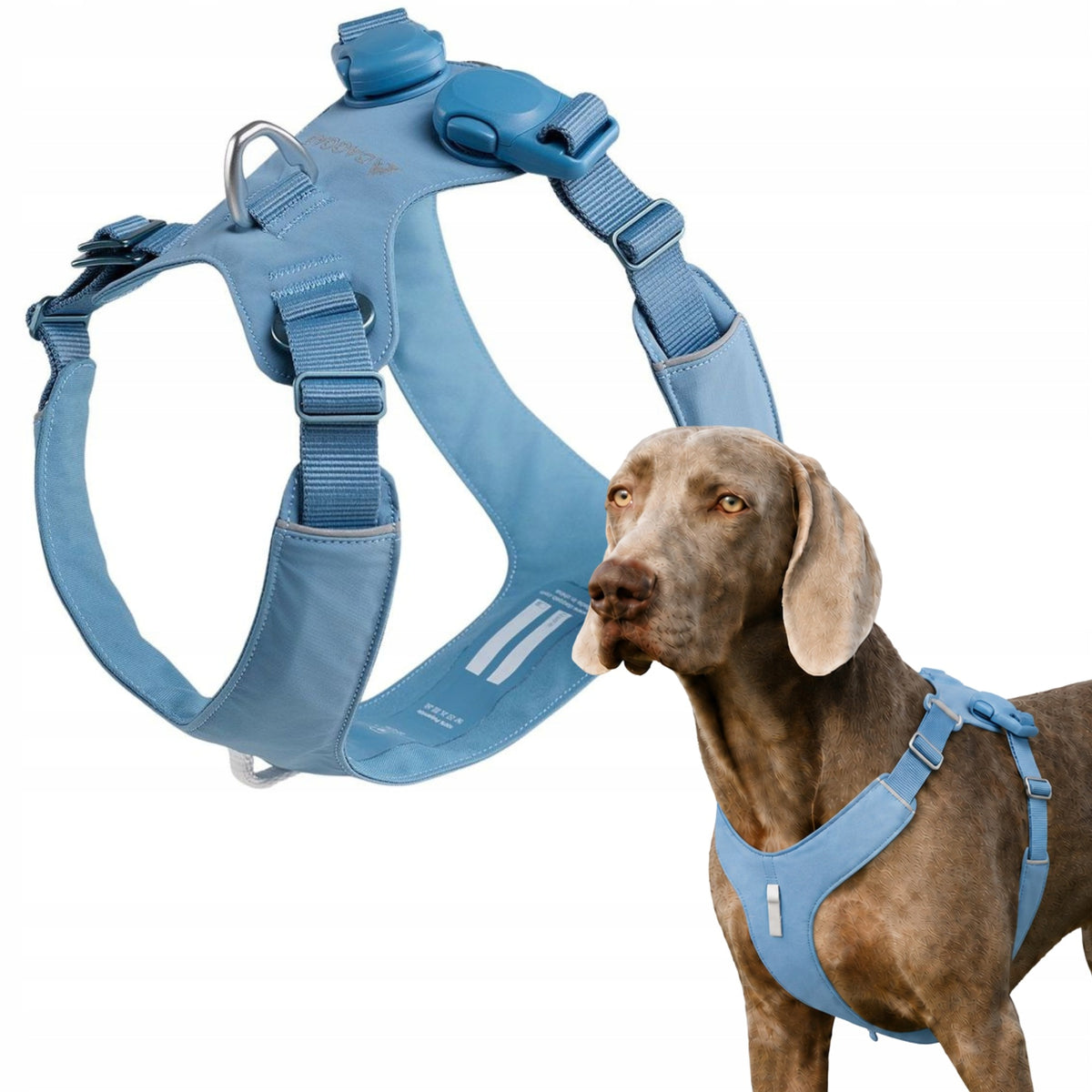 DAQQAB OUTDOOR RANGE DOG HARNESS MAGNETIC BUCKLE – BLUE, XS