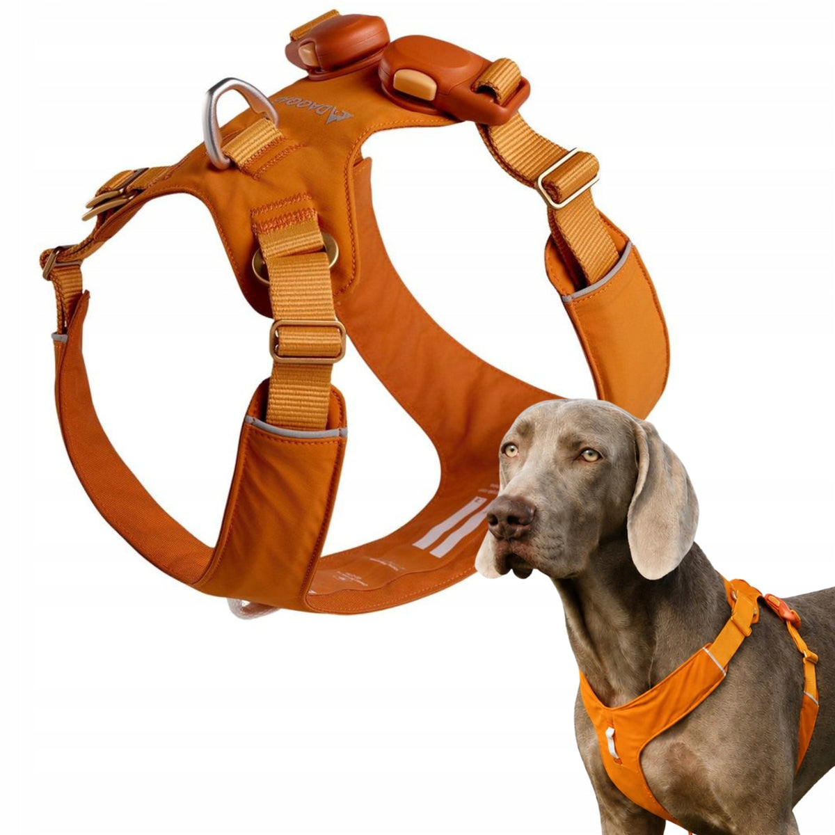 DAQQAB OUTDOOR RANGE DOG HARNESS MAGNETIC BUCKLE – ORANGE, XS
