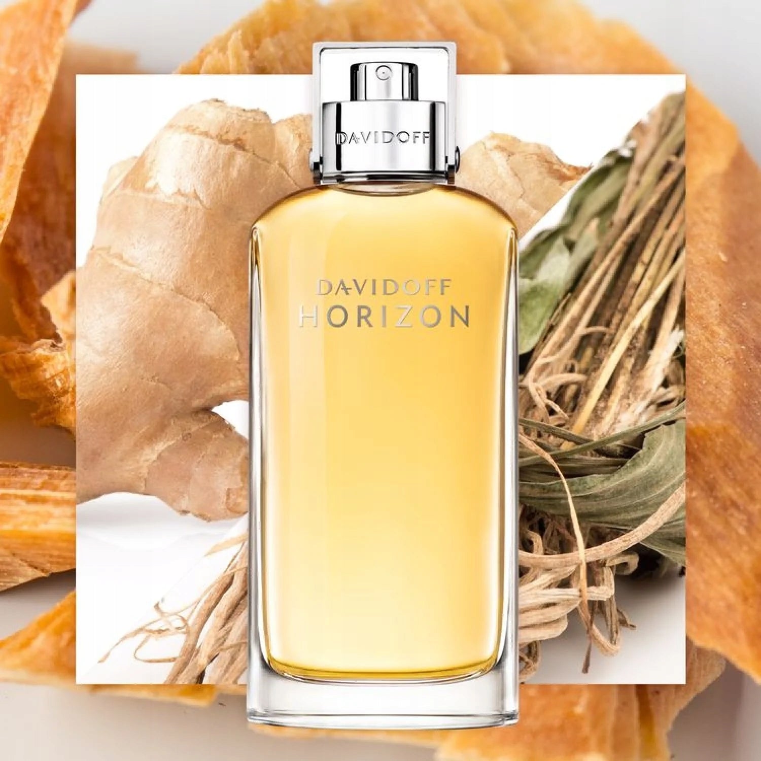 DAVIDOFF HORIZON EDT 125 ML. ORIGINAL PRODUCT Packaging status original