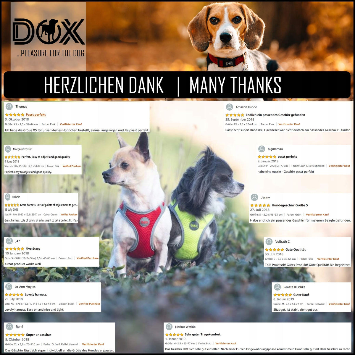 DDOXX MESH REFLECTIVE HARNESS FOR SMALL MEDIUM-SIZED CATS BREATHABLE Brand Ddoxx