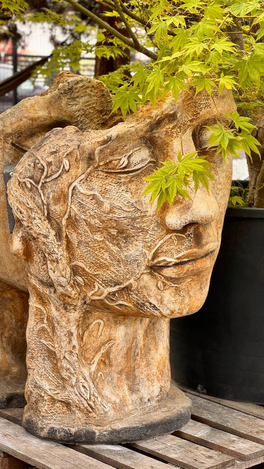 DECORATIVE FIGURE HEAD MAN GRAPES XXL 156 KG Manufacturer code głowa winogron 310 MĘŻCZYZNA
