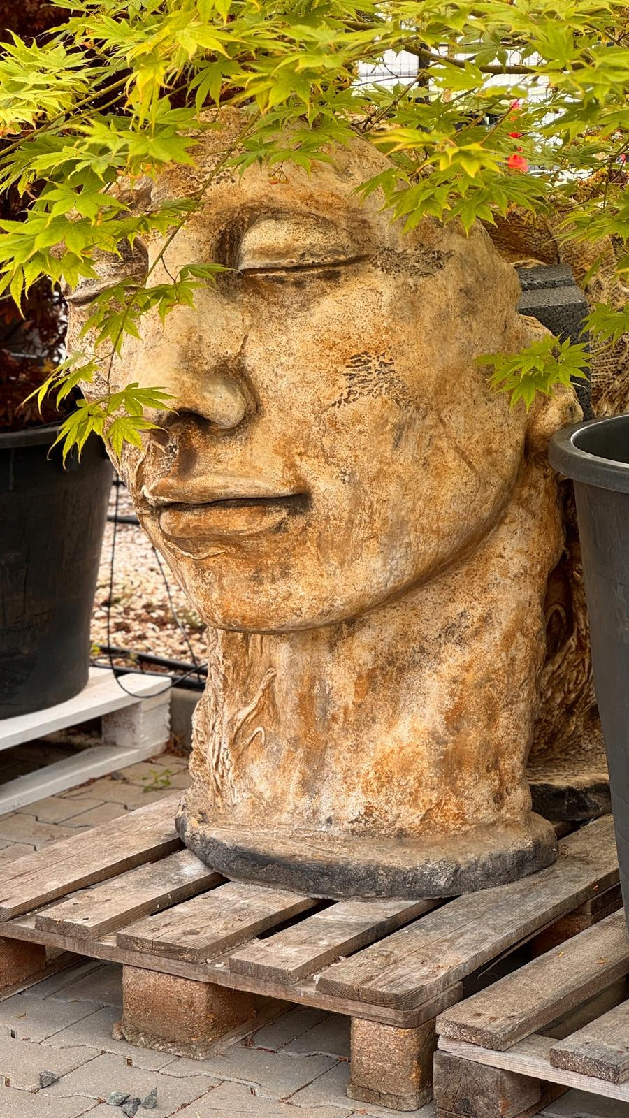 DECORATIVE FIGURE HEAD MAN GRAPES XXL 156 KG