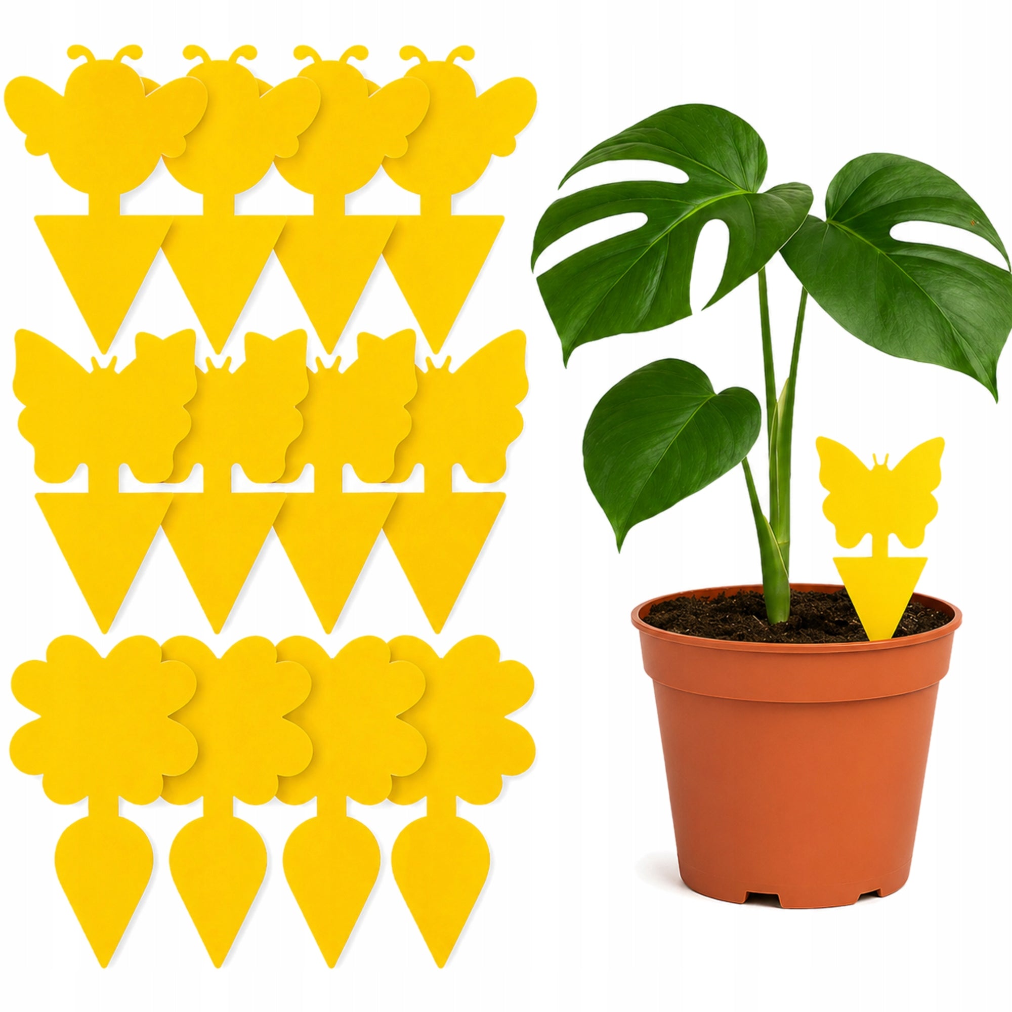 DECORATIVE STICKERS FOR POTS FOR EARTHWORMS FLIES FRUIT INSECTS YELLOW BUTTERFLIES