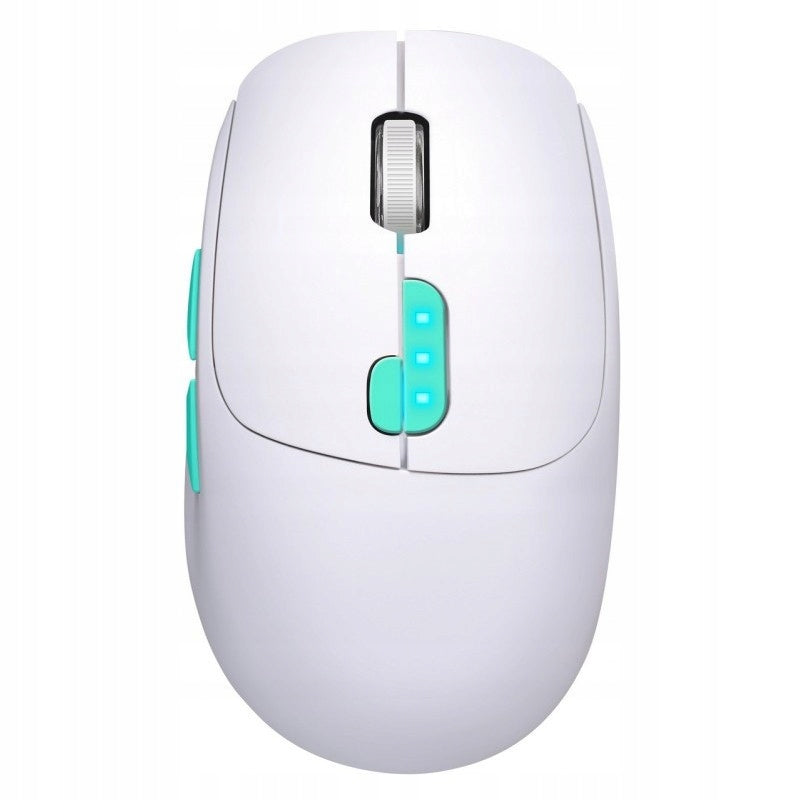 DEFENDER Wireless mouse NITTA MM-307 RF+BT 1600DPI 6P white Manufacturer code 52307